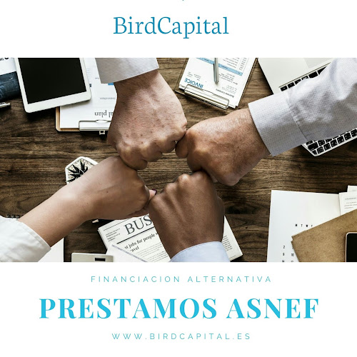 Birdcapital, prestamos rápidos cerca de mi ubicación