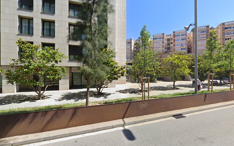 prestamo rápido cerca de miBirdcapital. Préstamos Capital Privado