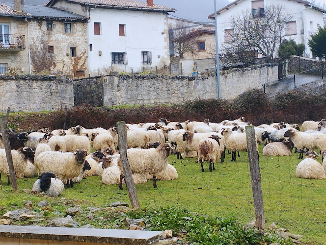 Caja Rural De Navarra, prestamos rápidos cerca de mi ubicación